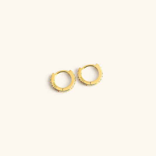 Earth Hoop Earrings
